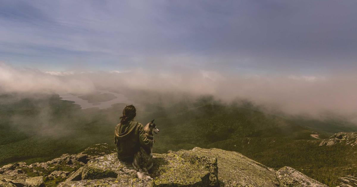 Budget vs Actual: Analyzing Variances - Part 1