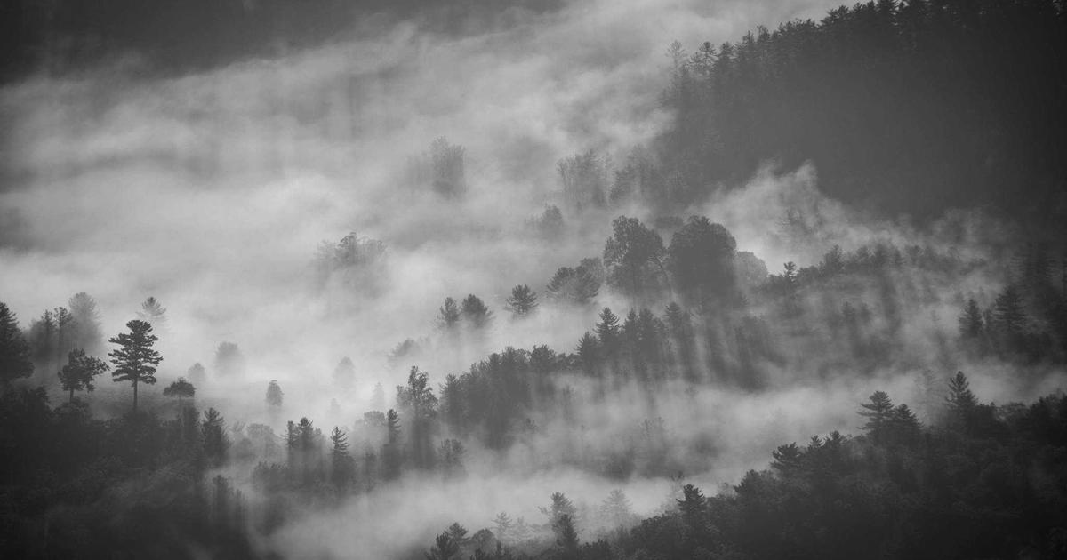 15 Xero Integrations That Will Transform Your Workflow