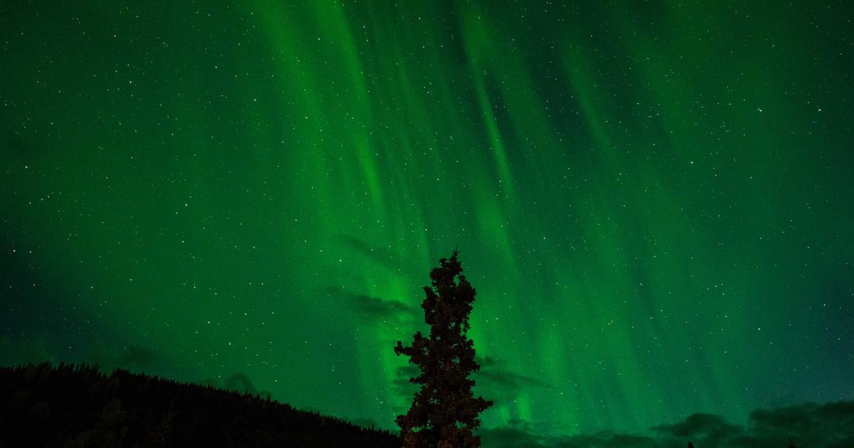 Travel and Entertainment Expense Management