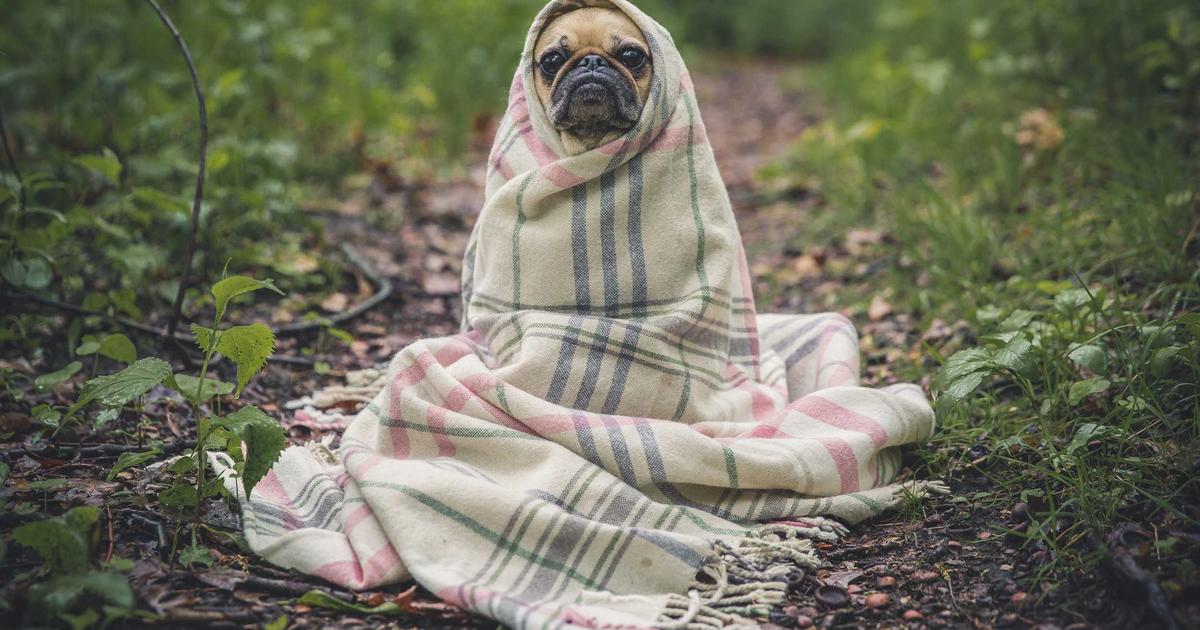 Profitability Analysis: A Expert Guide