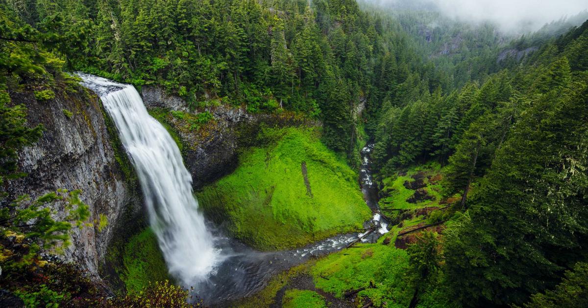 Back to Business Season: A Guide for Service Businesses