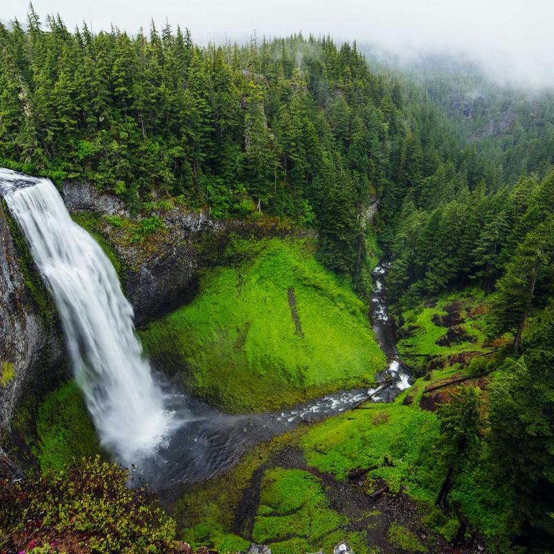 迷雾 - 数字空间