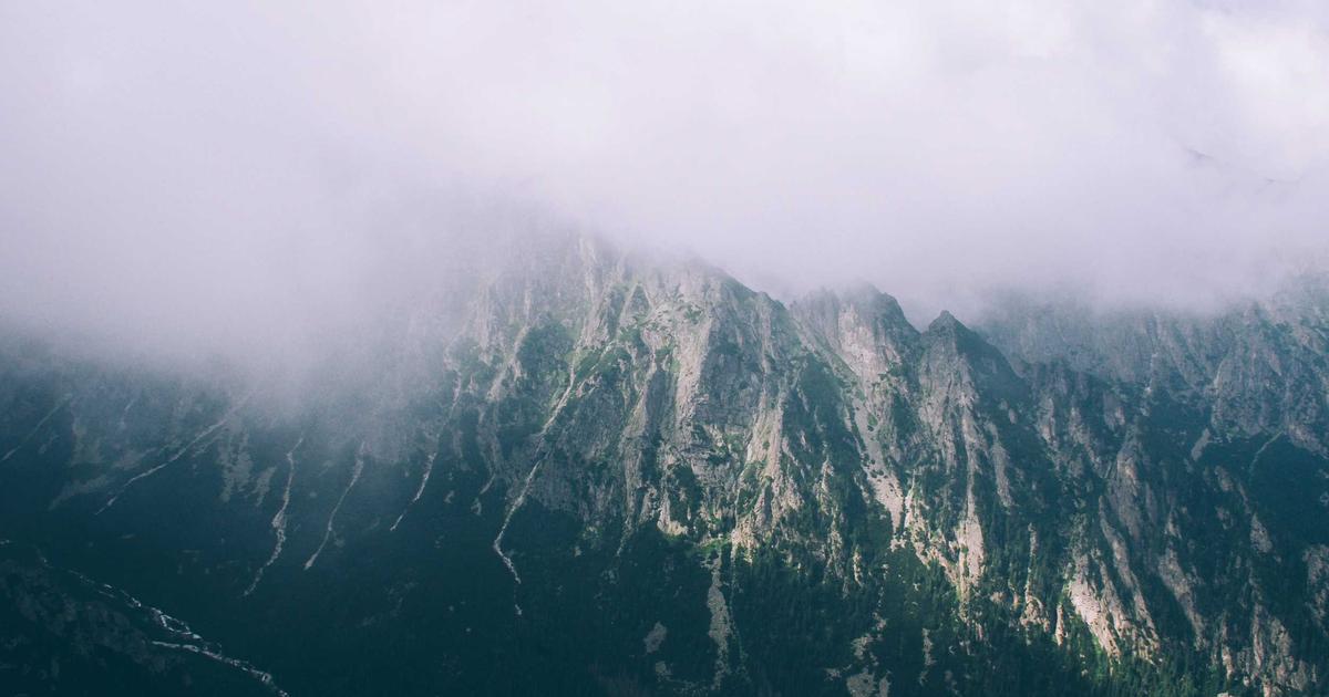 How to Set Up Invoicing in Xero