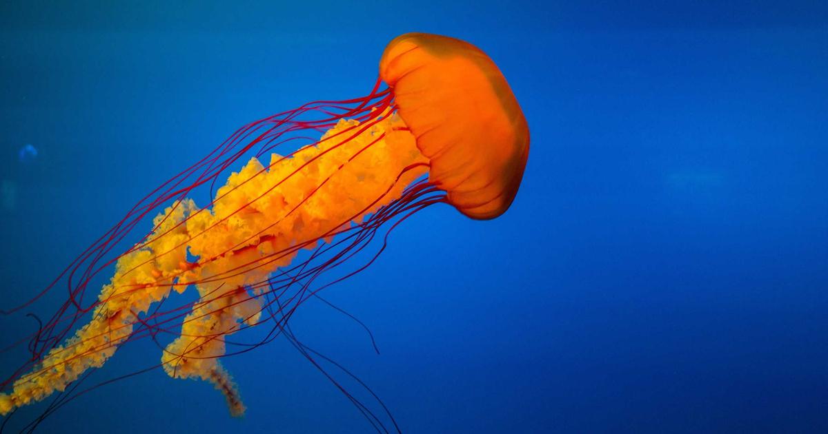 Streamlining Bookkeeping with Automation