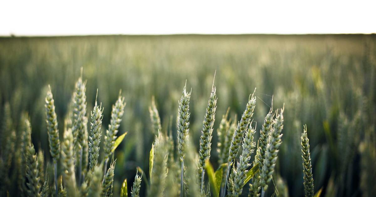 Getting the Most Out of Xero Contacts