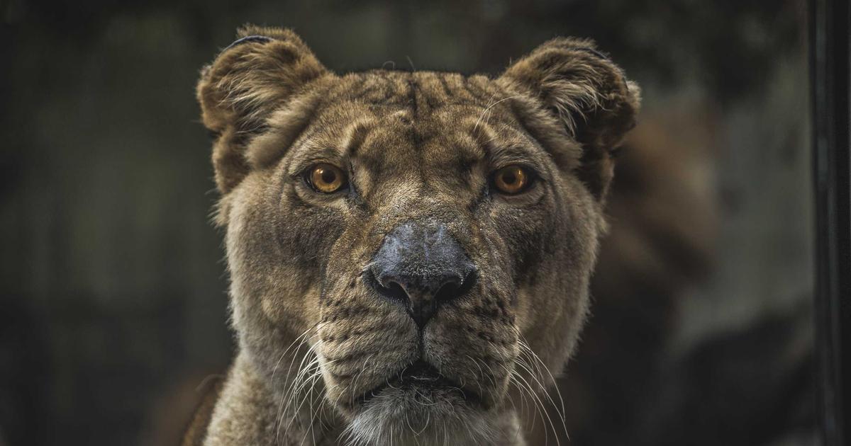 Hidden Expenses Every Business Owners Should Know