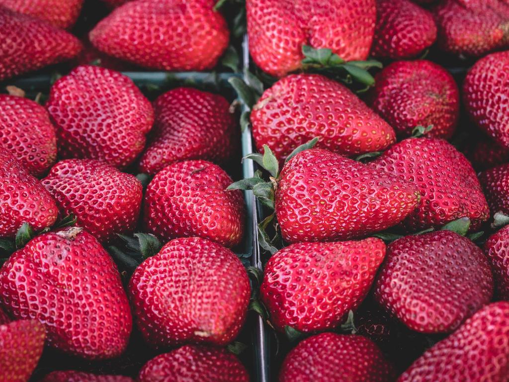 中医师承关系协议怎么签才靠谱？过来人掏心窝子说几句示意图1