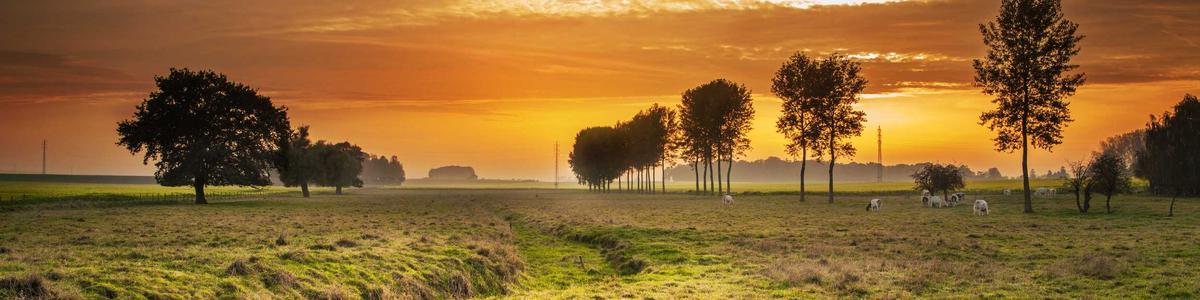 Accompagnement IA mensuel en entreprise