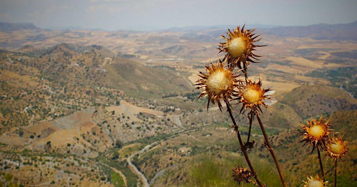 7 Budgeting Tools for Service Businesses