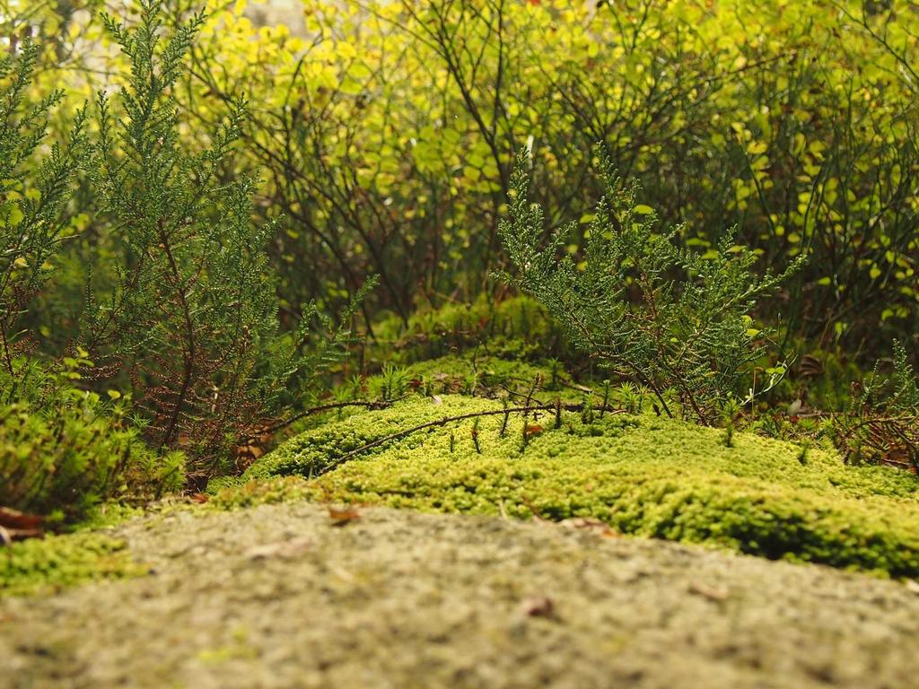 中医师承考试内容全解析：别再瞎准备，这些才是真考点！