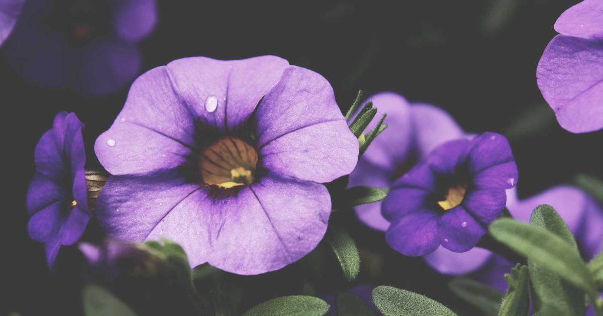 Measuring Business Health: 9 Key Indicators