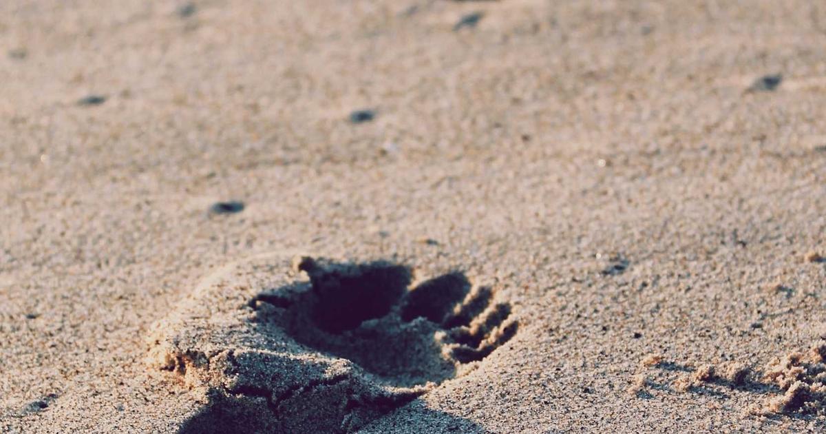 Which Products/Services Are Most Profitable? (2025)