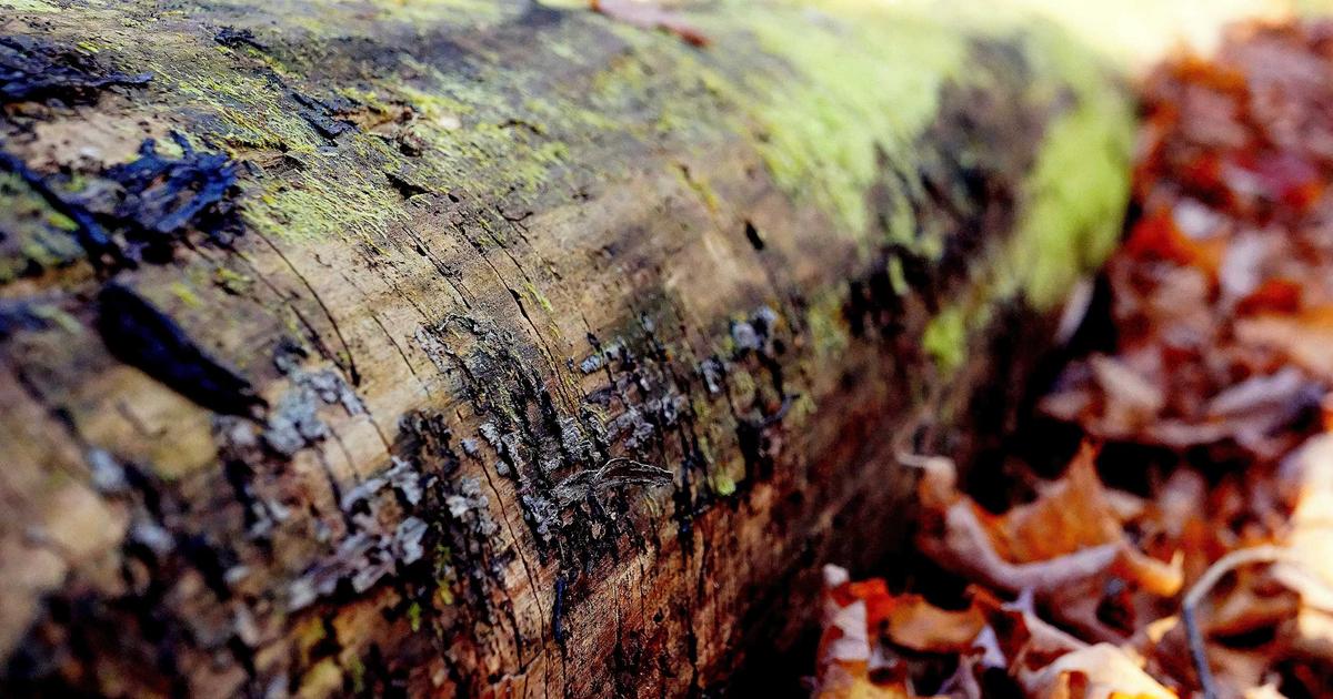 Automation ROI: Is It Worth the Investment?