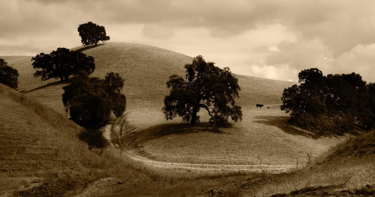 Second Quarter Planning: A Guide for Consultants (2025)