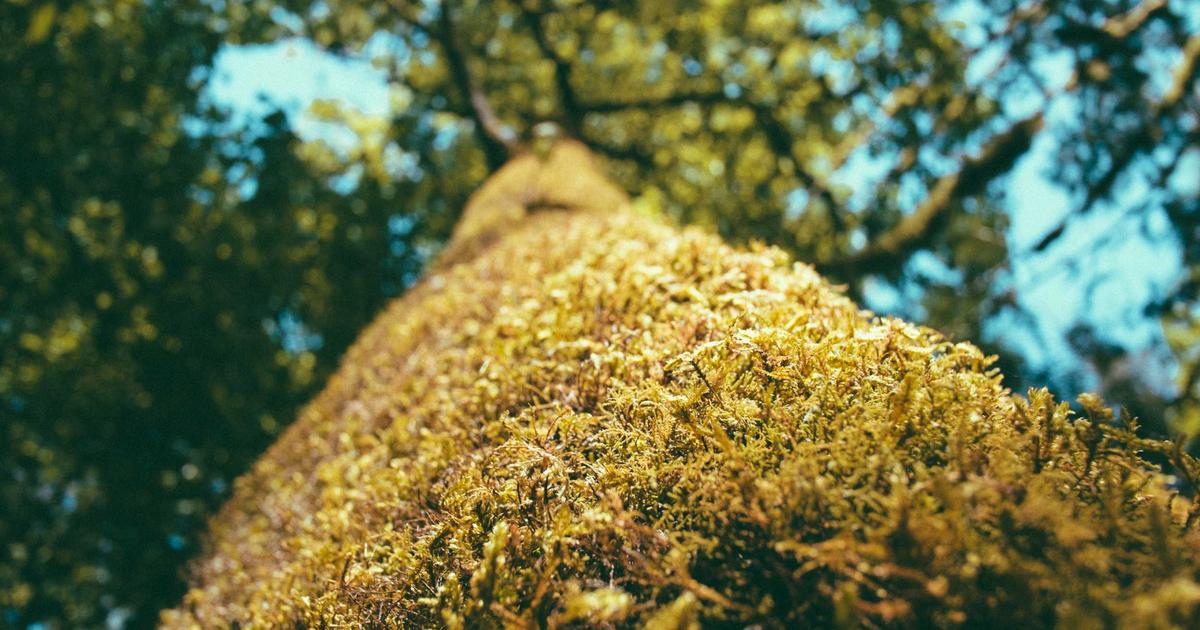 DIY Bookkeeping vs Hiring a Professional (2021)