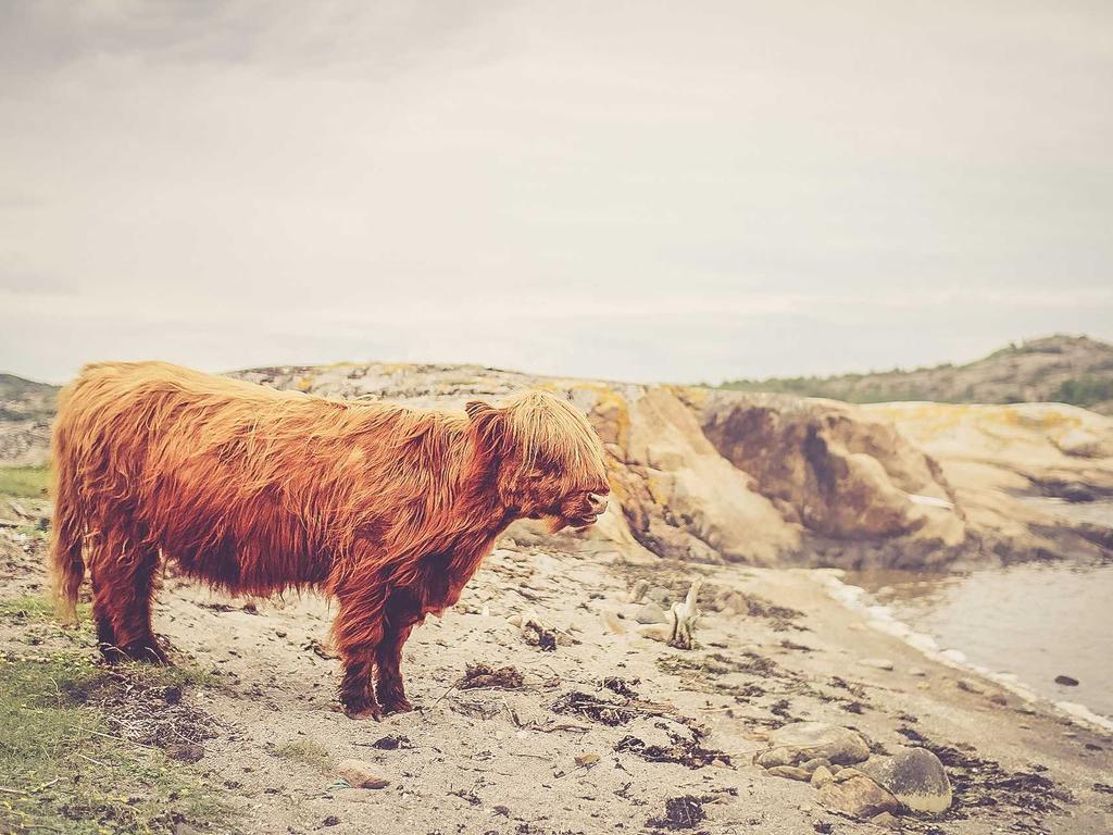 中医师承笔记记录｜实用模板+避坑指南+真实案例（2024新版）