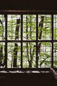 A beautiful landscape