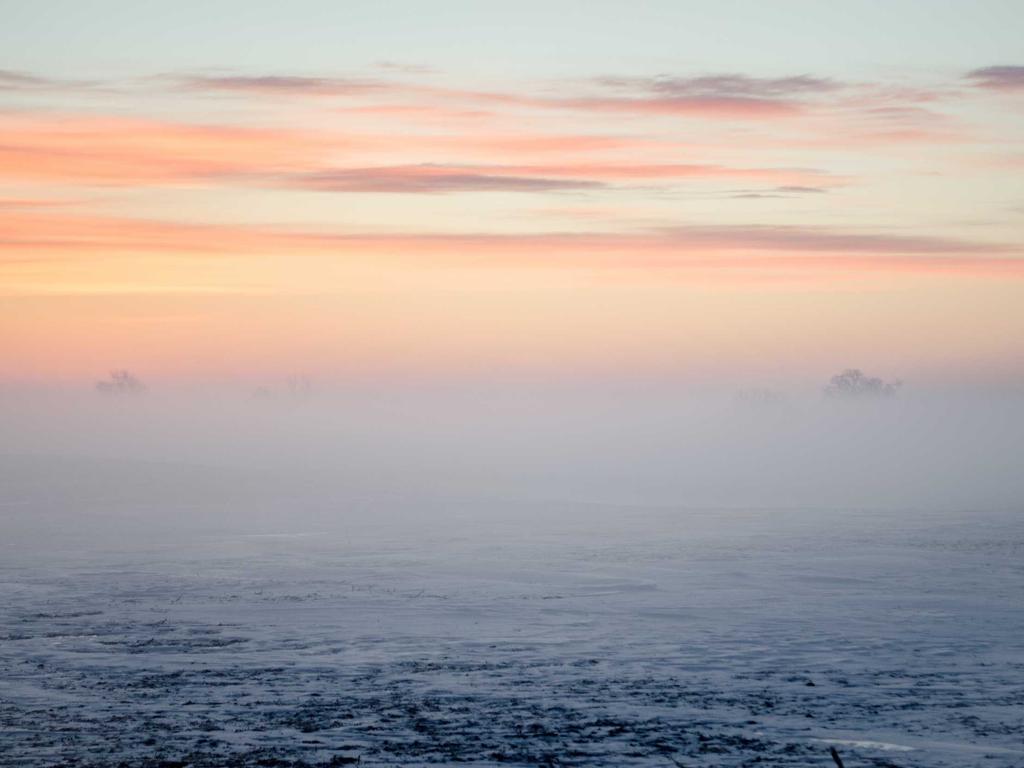南充中医师承怎么走？本地人亲测靠谱路径全分享