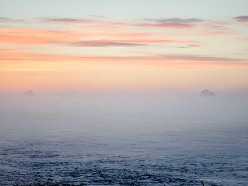 Descripción de la imagen