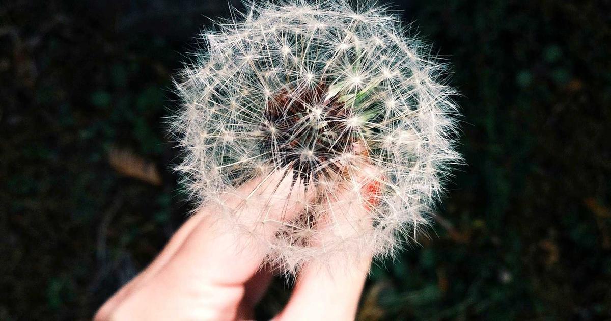 Industry KPIs for Healthcare Businesses