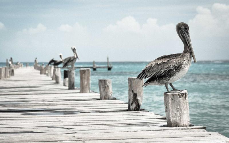 Blog Featured Image