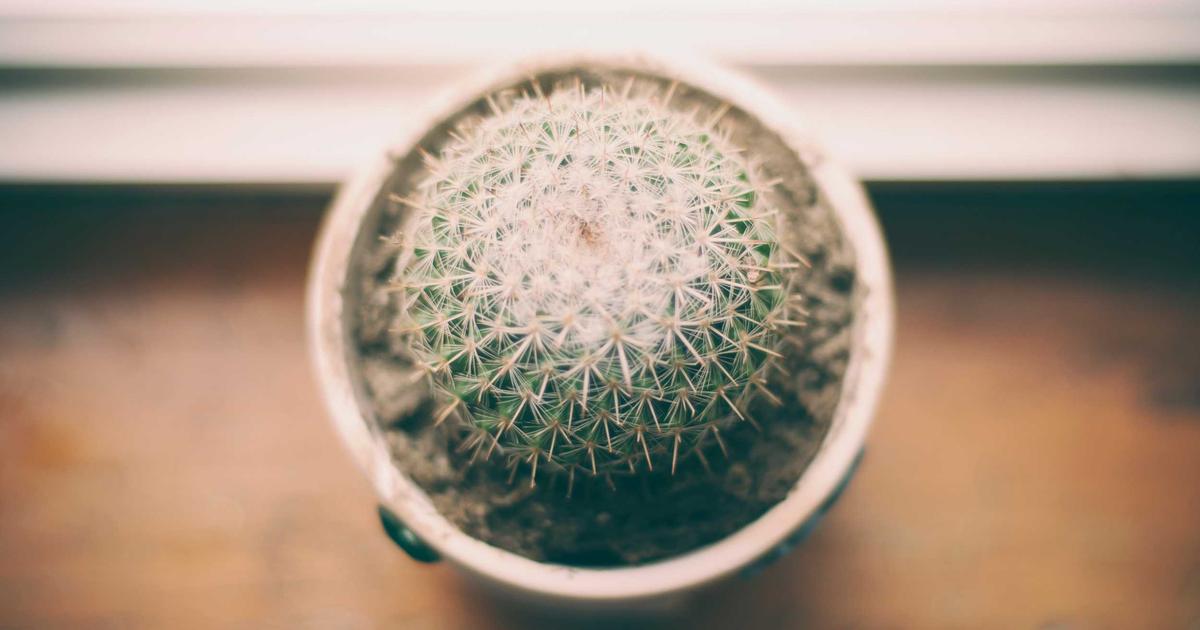 How to Customize Xero for Your Professional Services Business