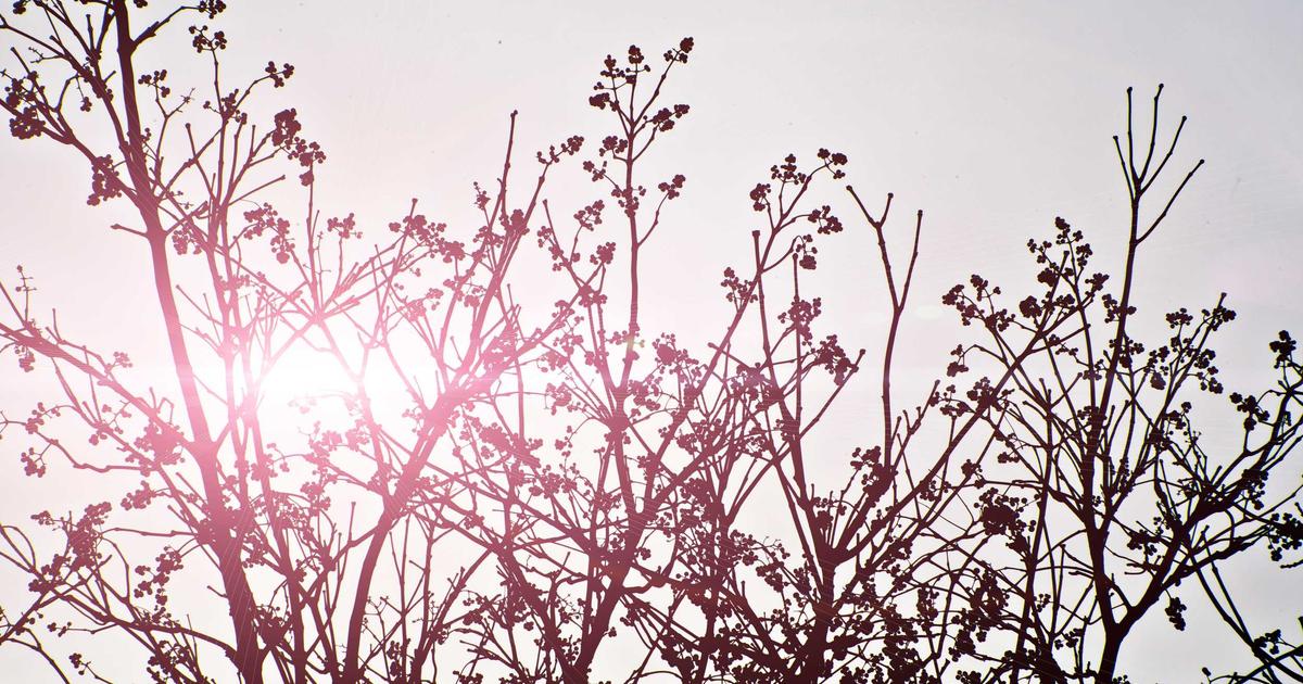 Xero Shortcuts Every Startups Should Know