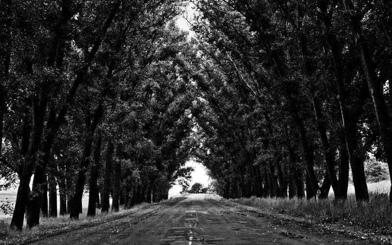 Blog Featured Image