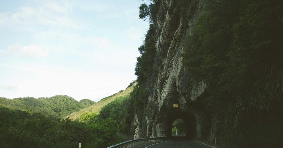 Summer Business Planning: A Guide for Growing Businesses