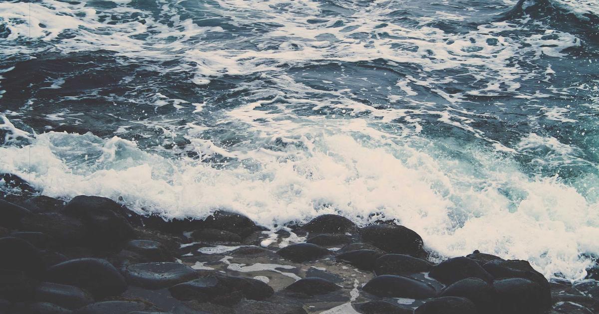 DIY Bookkeeping vs Hiring a Professional (2023)