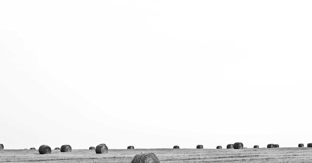 Comparing This Year vs Last: Budget Report Analysis