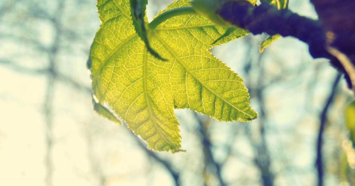 KPI Benchmarks for Real Estate