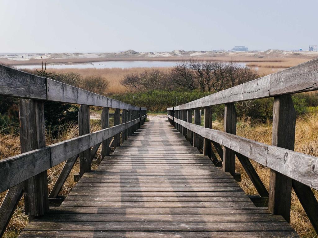 广西中医师承培训｜2024正规报名流程+跟师要求+考证干货