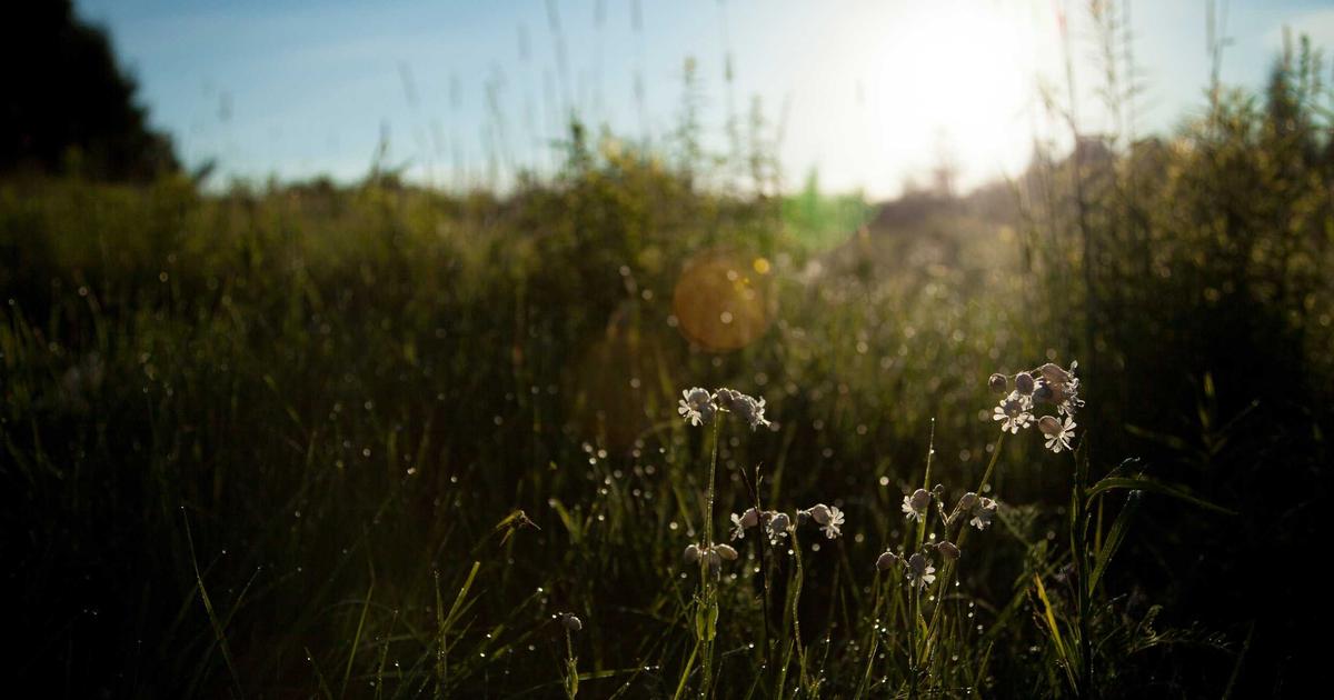 Tax Document Organization: A Guide for Entrepreneurs