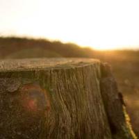 Open Graph preview image