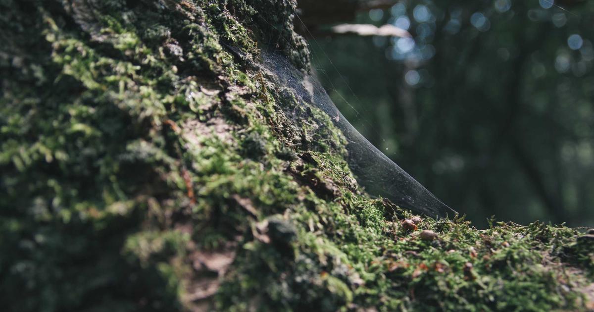 Half-Year KPI Review: A Guide for Freelancers (2024)