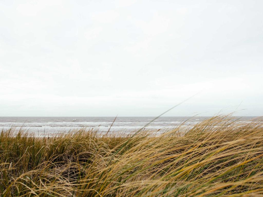 中医师承会问？一文讲清师承考核常见问题与应对策略