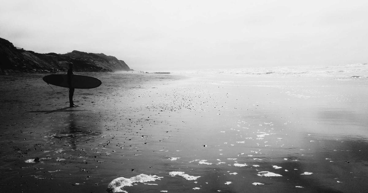 What Your Profit and Loss Statement Reveals About Business Health