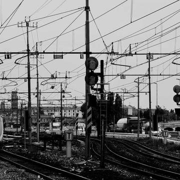 random image from unsplash