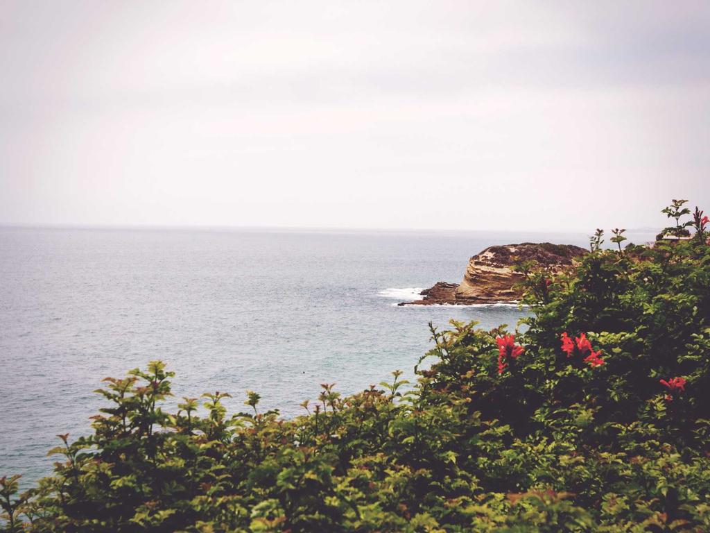 广西中医师承证书办理指南｜2024最新流程+材料清单+常见问题