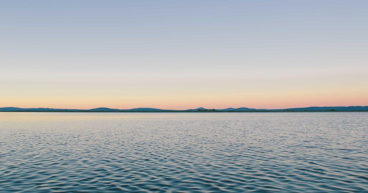 How to Categorize Expenses in Xero