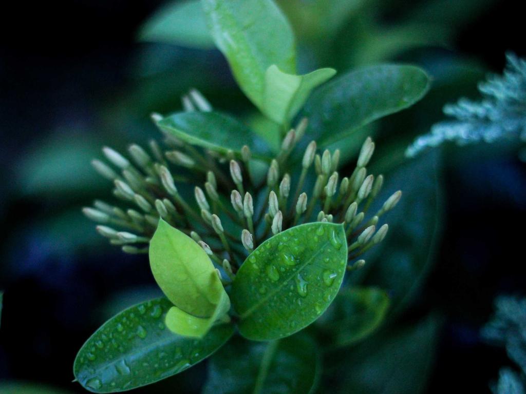 福建中医师承到底靠不靠谱？一个跟师三年的人掏心窝子说说