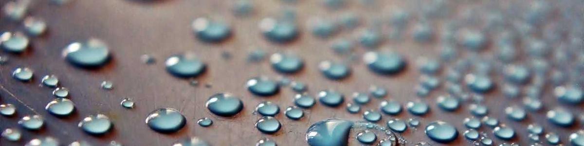 Formation IA en équipe