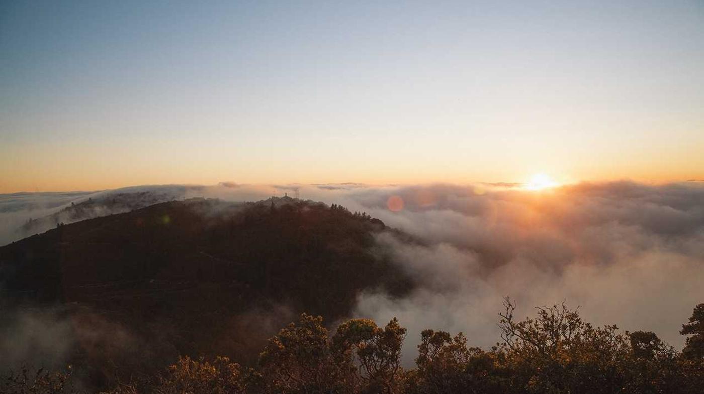 Banner for Secondary Banner