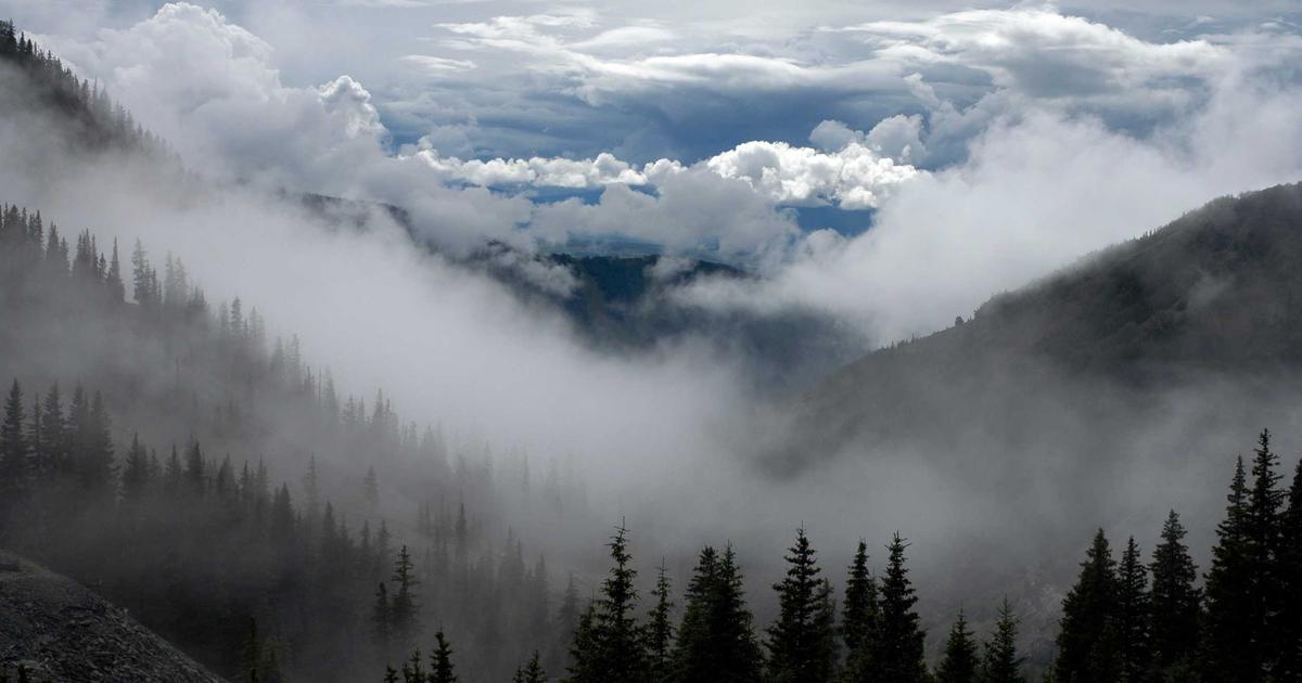 Second Quarter Planning: A Guide for SMBs