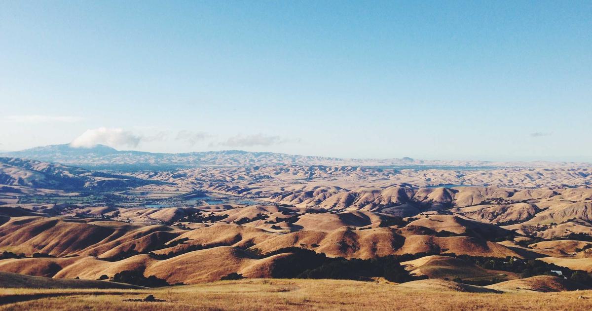 Growth Planning: Using Financial Data to Make Decisions (2023)