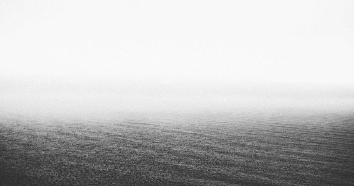 Creating Simple Financial Reports in Xero