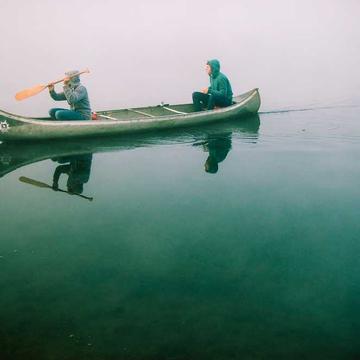 random image from unsplash