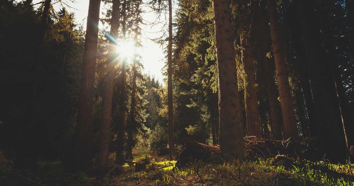 Bookkeeping Best Practices for Construction