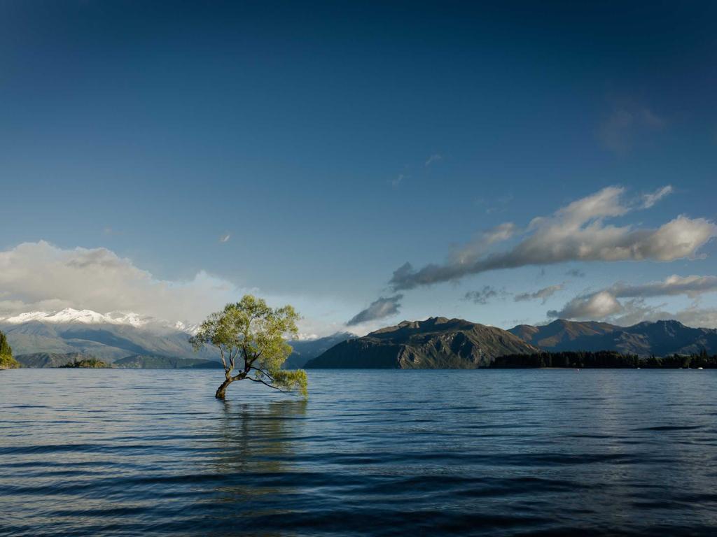 中医师承考试历年真题哪里找？过来人掏心窝子分享真实渠道和避坑指南示意图1